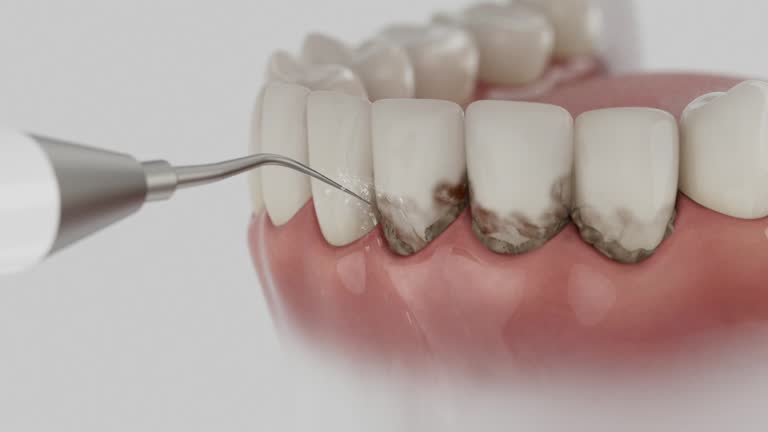 Reliable Dental contractor in Kalispell, MT by Dentist Open Now